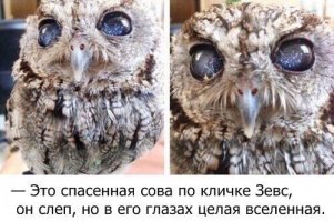 СССР в лицах. Прибалтика