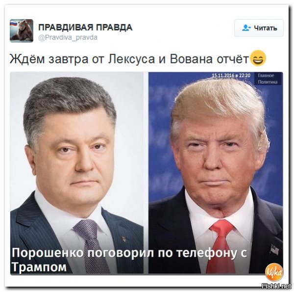 Nyka
Подборка 217