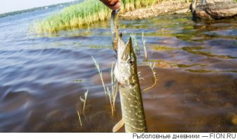 А где Иваньковское водохранилище или как его ещё называют Московское море? Тоже замечательная рыбалка и зимняя и летняя.