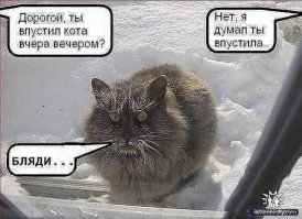 Прикольные ухахашечки!