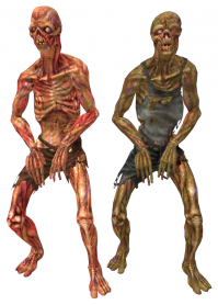 Ещё немного и стала бы диким гулем