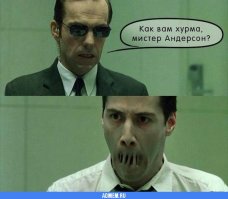 Для настоящих хурманов: самые охурмительные рецепты из оранжевой ягоды