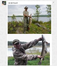 Не того парня ты помочь с фотошопом попросила