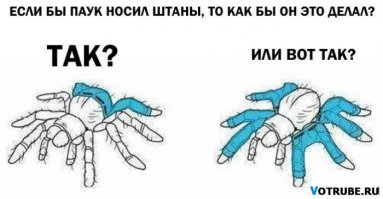 Прикольные ухахашечки!