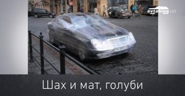 Свежая подборка автоприколов