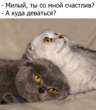 Умозаключение - это пожизненное пребывание мозга в черепной коробке!