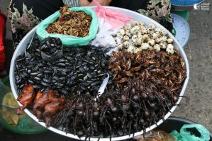 Парень очень любит экзотических насекомых
