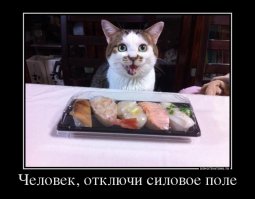 Хозяин, ну что это такое? Собака пытается вытащить нарисованную кость со дна своей миски