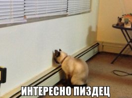 Позитивный ролик из Смоленска