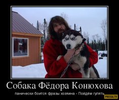 До и после: фотографии собак и хозяев. Часть 2