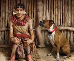 Хозяин, ну что это такое? Собака пытается вытащить нарисованную кость со дна своей миски