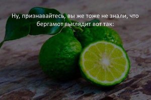 Каюсь.
Не знал!