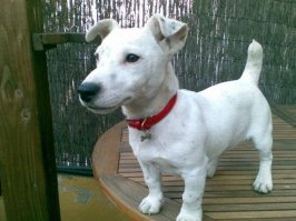 У меня граната системы ДРТ