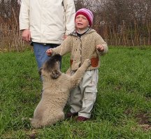 Наша Мыша. Одна из самых первых и одна из последних её фотографий. Их разделяет двенадцать с половиной лет.
Первого мая 2004 года у дочки, который тогда было два года, приключилась большая детская беда -- улетели воздушные шарики, которые ей подарили на празднике. Слёз было море. И Мыша, сама едва разменявшая третий месяц и ещё с трудом держащаяся на лапах, вдруг впервые в своей собачьей жизни поняла, что кто-то нуждается в её поддержке и защите. Поняла и прибежала успокаивать ревущую дочу :) Прибежала и осталась рядом на всю свою жизнь. Пока она была жива, никто из посторонних не мог подойти к дочке без её согласия.
Безупречная собака. Пожалуй, одна из лучших, среди тех, с какими мне приходилось иметь дело. А мне, за 35 лет собачьего стажа, приходилось иметь дело со многими собаками.