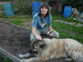 Наша Мыша. Одна из самых первых и одна из последних её фотографий. Их разделяет двенадцать с половиной лет.
Первого мая 2004 года у дочки, который тогда было два года, приключилась большая детская беда -- улетели воздушные шарики, которые ей подарили на празднике. Слёз было море. И Мыша, сама едва разменявшая третий месяц и ещё с трудом держащаяся на лапах, вдруг впервые в своей собачьей жизни поняла, что кто-то нуждается в её поддержке и защите. Поняла и прибежала успокаивать ревущую дочу :) Прибежала и осталась рядом на всю свою жизнь. Пока она была жива, никто из посторонних не мог подойти к дочке без её согласия.
Безупречная собака. Пожалуй, одна из лучших, среди тех, с какими мне приходилось иметь дело. А мне, за 35 лет собачьего стажа, приходилось иметь дело со многими собаками.