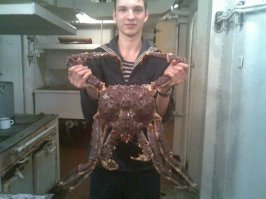 Морские твари или братья наши скользкие