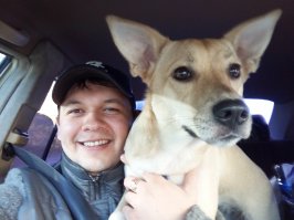 А вот мой собакен :)Почему то не очень любит кататься на машине, хотя пес брата ротвейлер обожает:)