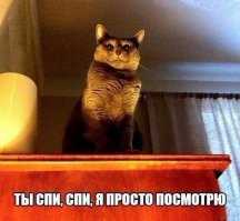 Девушка решила срезать дорогу через кладбище. Кто ж знал, ЧТО из этого получится