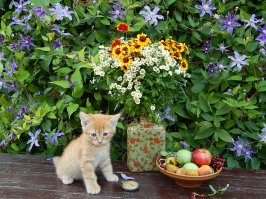 Фотоподборка за 18.11.2016