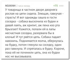 Гифки дня