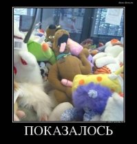 Испорченное воображение: перевернутый снимок кровати взбудоражил интернет