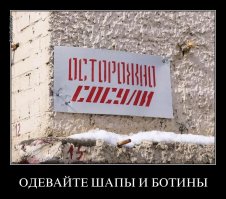 Автомобили, пострадавшие от падения сосулек в Санкт-Петербурге