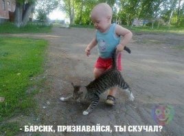 12 фотографий собак, нашедших свой дом