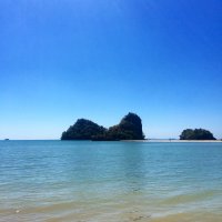 на тебе без фотошопа