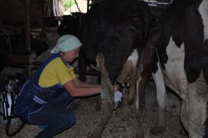 МНЕ ЛЕНКА НРАВИТСЯ, ДОЯРКА!