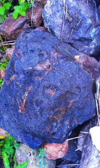 Тоже вроди как летом нашёл...