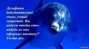 Необычные сексуальные ритуалы животных
