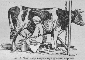 На видео ,короче с другой стороны корову доят,с правой стороны, правой рукой ведро заносишь ,не через ноги же