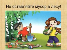 Спасение медвежонка, у которого в пасти застряла консервная банка