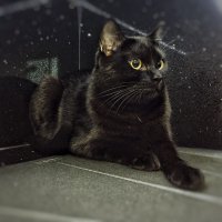 Георгий. Для близких - Гоша. 2,5 года. Дороже нет.