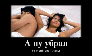 Гигантская черепаха и теленок, потерявший лапу, стали лучшими друзьями