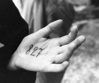 Голосую 827 раз!