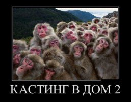 Подборка фото-приколов