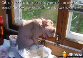 Подборка фото-приколов