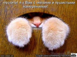 Подборка фото-приколов
