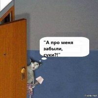 19 Шикарных кошек, которые стоят целое состояние