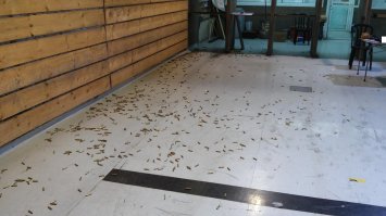 Рабочие места пользователей Фишек