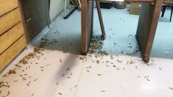 Рабочие места пользователей Фишек