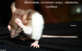 ко всем фиштянам от меня на всякий случай