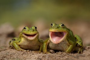 Просто нет слов. Достижение однако.