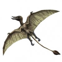 Я так понял под Арзамасом птерозавра нашли? Тогда он должен в Кунсткамере быть ,или он там есть? Или "Почтой России" бочку отправили и она еще не дошла...