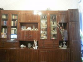 У меня такой же коврик на стене висел...
А что про вожделенных монстров не написали, за которыми надо было долго и упорно в очереди стоять - про советские стенки?