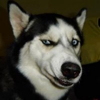 Сдаётся мне, что при любом её переживании у её парня или папаши просто нервы сдают...