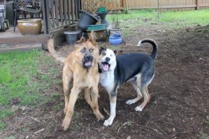 Мистические места в Москве