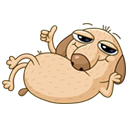 котофейчик милый