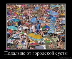 Смешные и позитивные фото с моря
